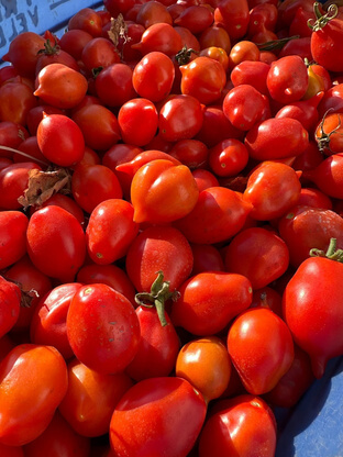 Passata Pomodorino Rosso - immagine 2